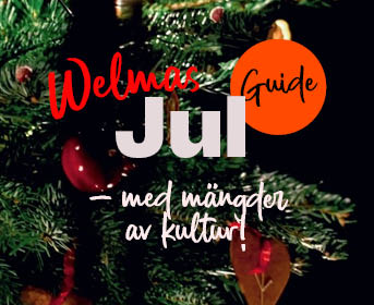 https://www.welma.se/wp-content/uploads/2024/11/julbanner225.jpg